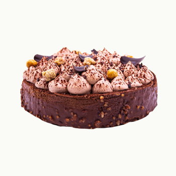 Chocolat Tonka 2