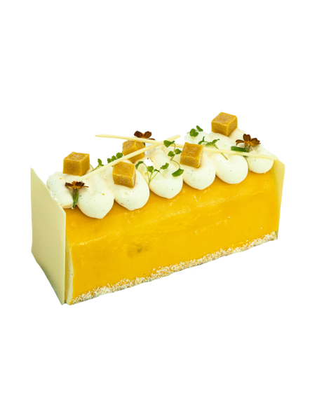 Bûche Odyssée