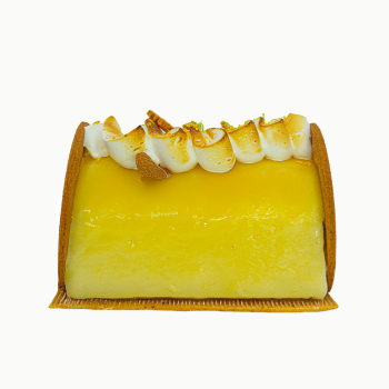 Bûche glacée Frisson givré