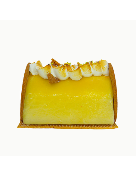 Bûche glacée Frisson givré